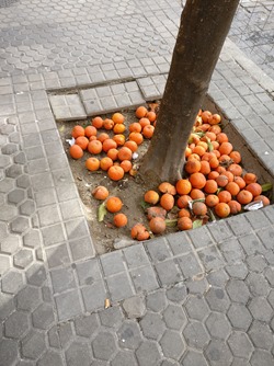 2017-02-16 11.25.26-2