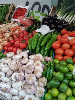 Photo at sector 8019968