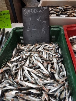 Photo at sector 8042496