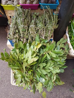 Photo at sector 8086528