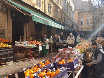 Photo at sector 8370688