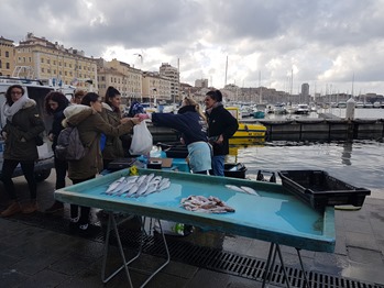 Photo at sector 8675072